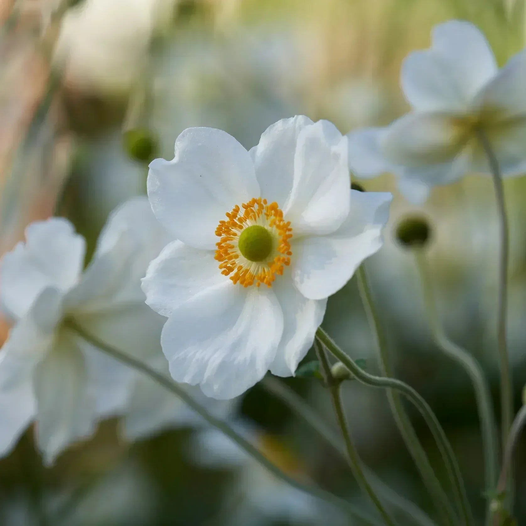 Our Sustainability Policy & Commitment to the Environment